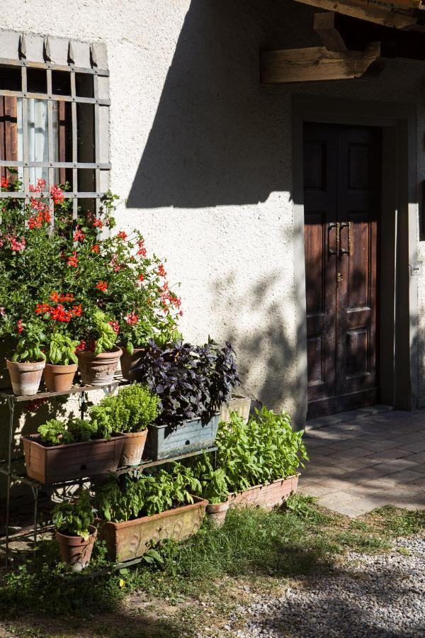 Agriturismo La Topaia Borgo San Lorenzo Εξωτερικό φωτογραφία
