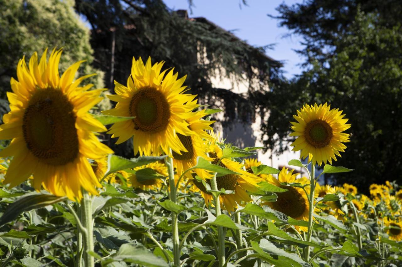 Agriturismo La Topaia Borgo San Lorenzo Εξωτερικό φωτογραφία