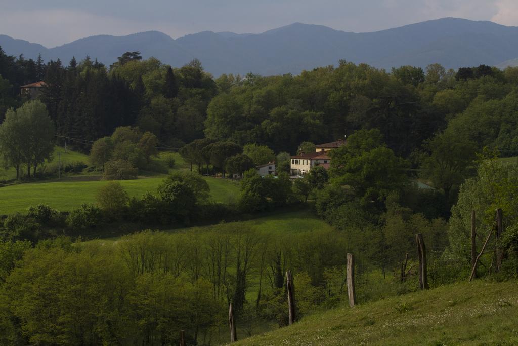 Agriturismo La Topaia Borgo San Lorenzo Εξωτερικό φωτογραφία