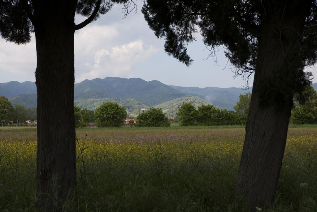 Agriturismo La Topaia Borgo San Lorenzo Εξωτερικό φωτογραφία