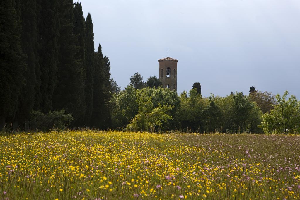 Agriturismo La Topaia Borgo San Lorenzo Εξωτερικό φωτογραφία