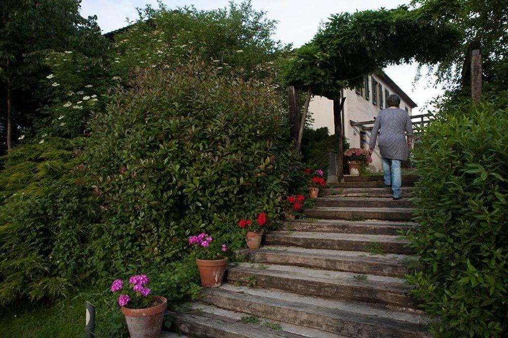 Agriturismo La Topaia Borgo San Lorenzo Εξωτερικό φωτογραφία
