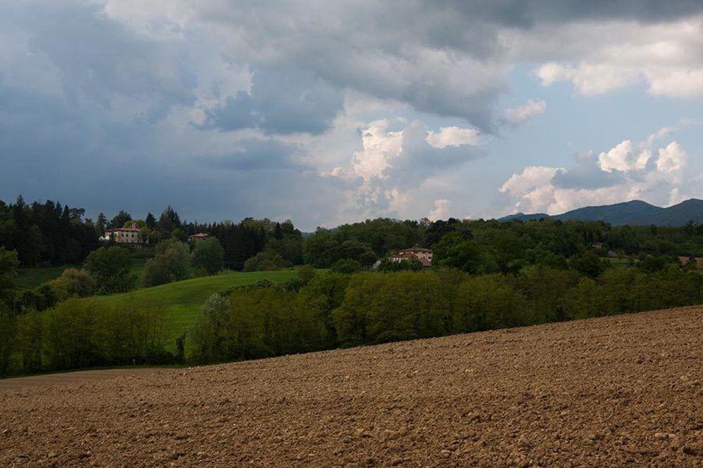 Agriturismo La Topaia Borgo San Lorenzo Εξωτερικό φωτογραφία