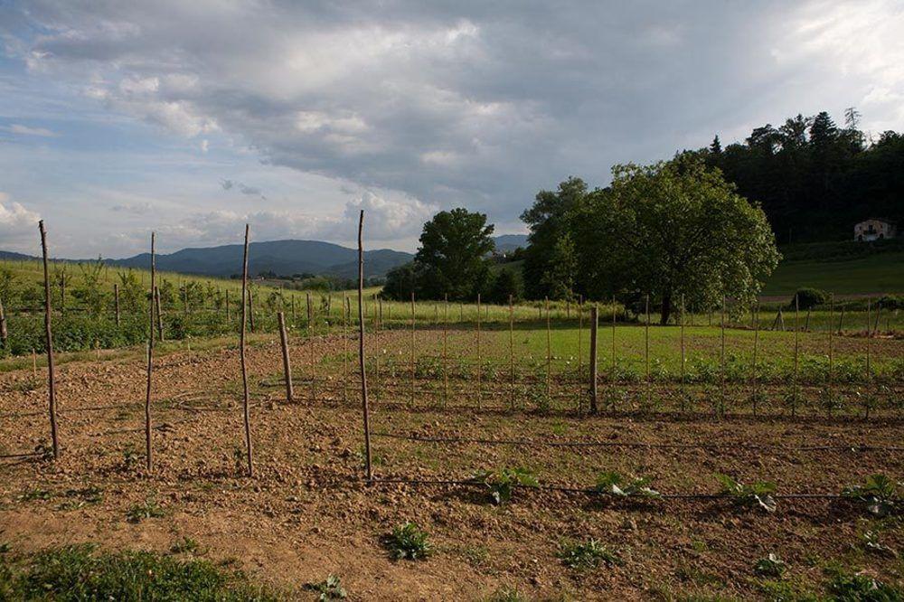 Agriturismo La Topaia Borgo San Lorenzo Εξωτερικό φωτογραφία