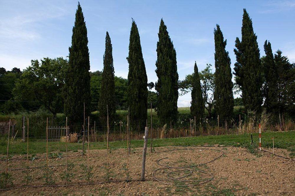 Agriturismo La Topaia Borgo San Lorenzo Εξωτερικό φωτογραφία